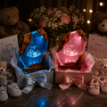 Custom baby ultrasound (Pre-order)